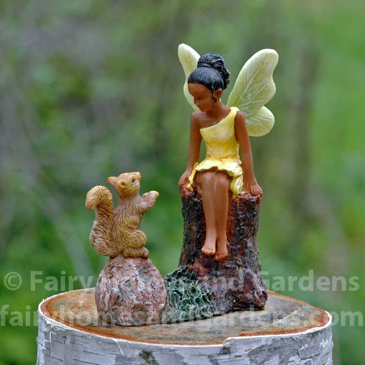 Making Friends Fairy with Squirrel